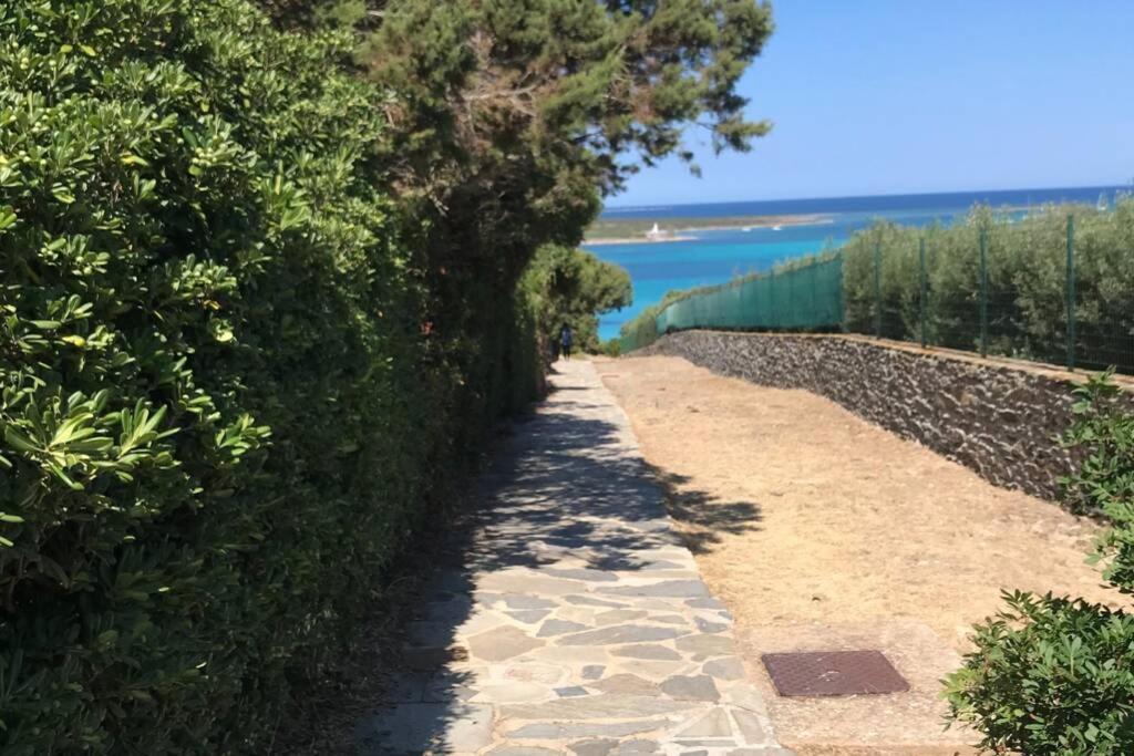 Pelosa - Capo Falcone Excellent Apartment Stintino Luaran gambar