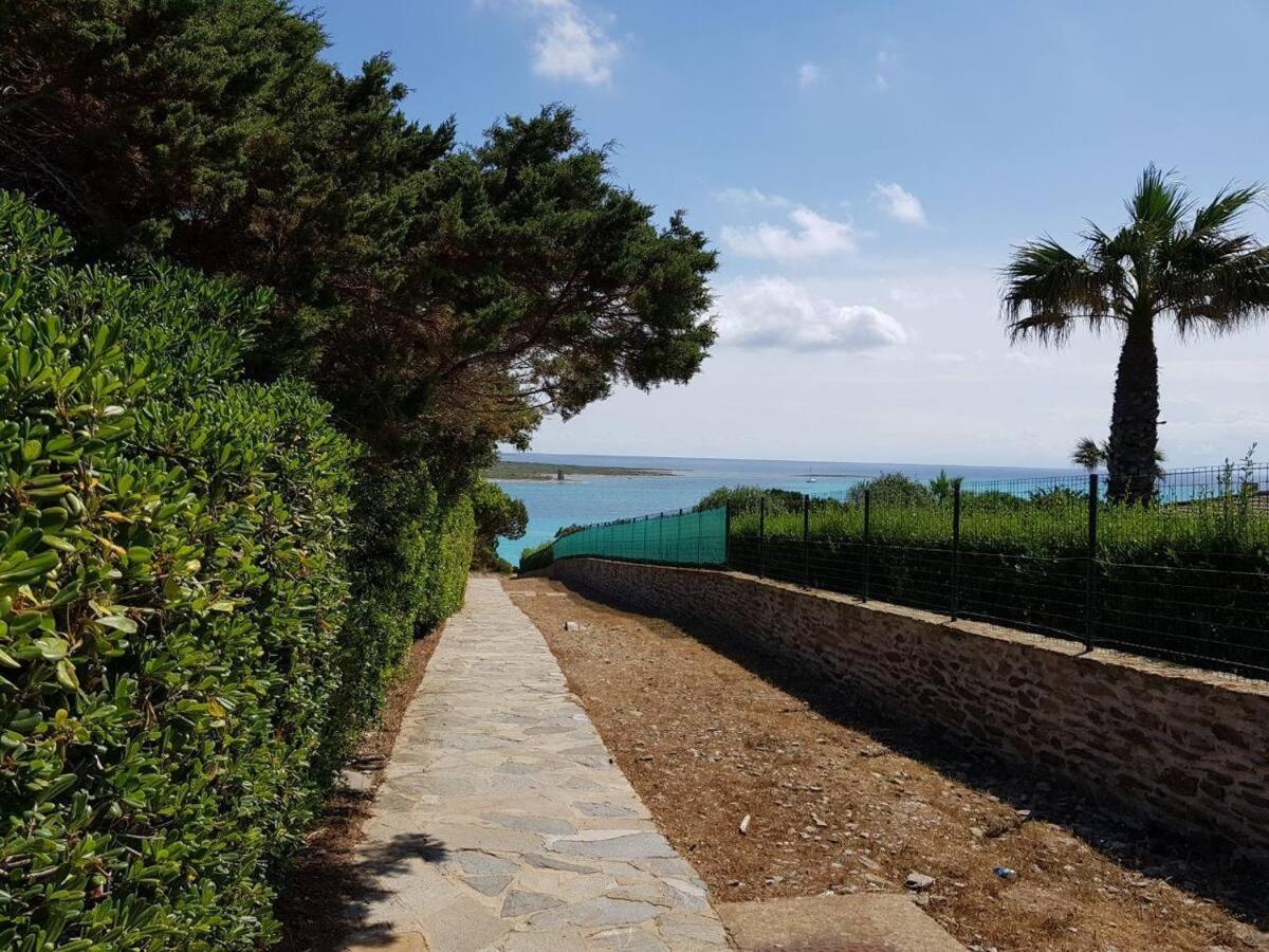 Pelosa - Capo Falcone Excellent Apartment Stintino Luaran gambar